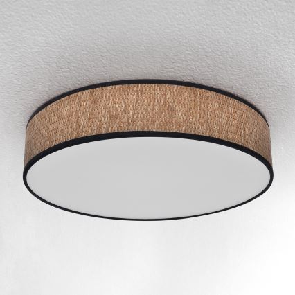 Brilagi - LED Dimbar taklampa ADELA LED/48W/230V 3000-6500K diameter 40 cm + fjärrkontroll