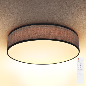 Brilagi - LED dimbar taklampa ADELA LED/48W/230V 3000-6500K Ø 40 cm + fjärrkontroll
