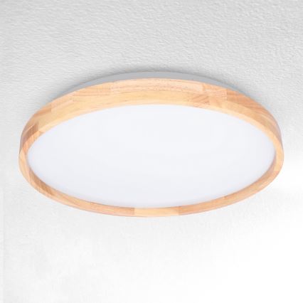 Brilagi - LED Dimbar taklampa ALSON LED/48W/230V 3000-6500K ek diameter 39,5 cm + fjärrkontroll