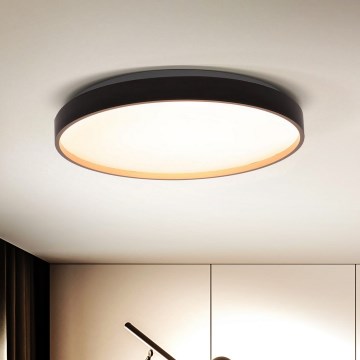 Brilagi - LED Dimbar taklampa CALA LED/48W/230V 3000-6500K diameter 38 cm + fjärrkontroll