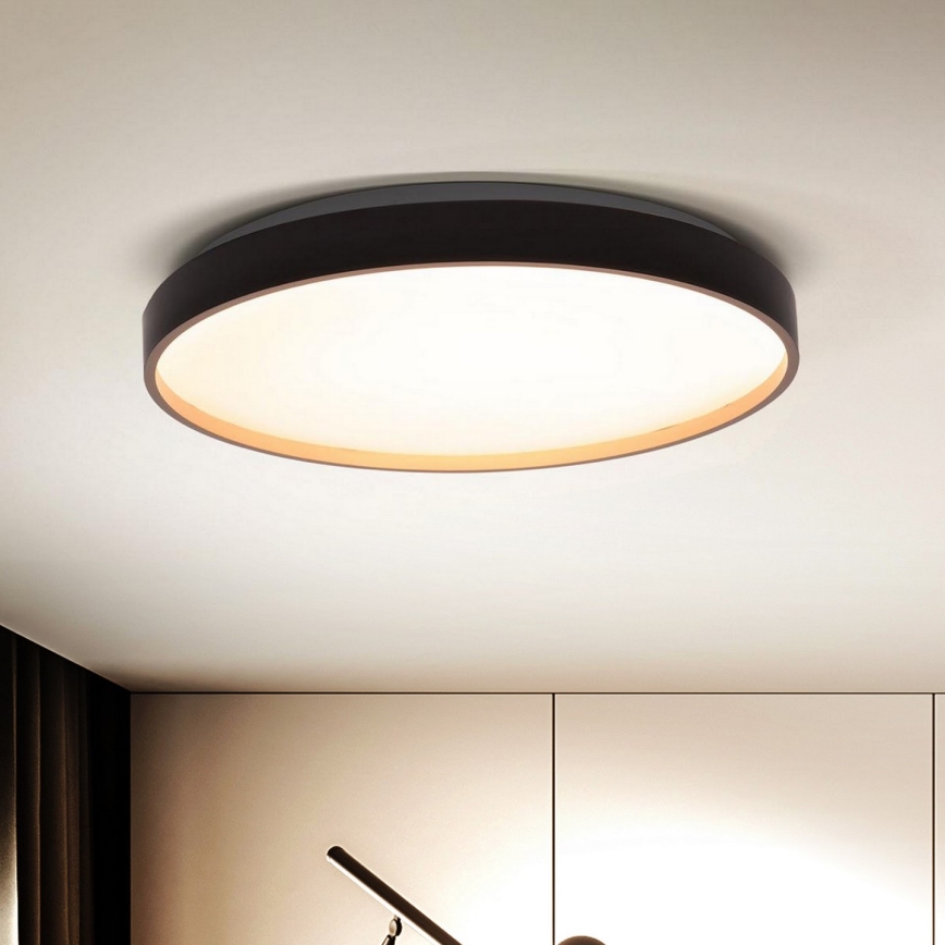 Brilagi - LED Dimbar taklampa CALA LED/48W/230V 3000-6500K diameter 38 cm + fjärrkontroll