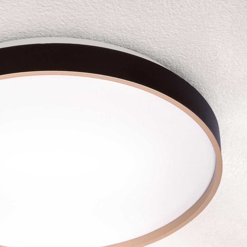 Brilagi - LED Dimbar taklampa CALA LED/48W/230V 3000-6500K diameter 38 cm + fjärrkontroll