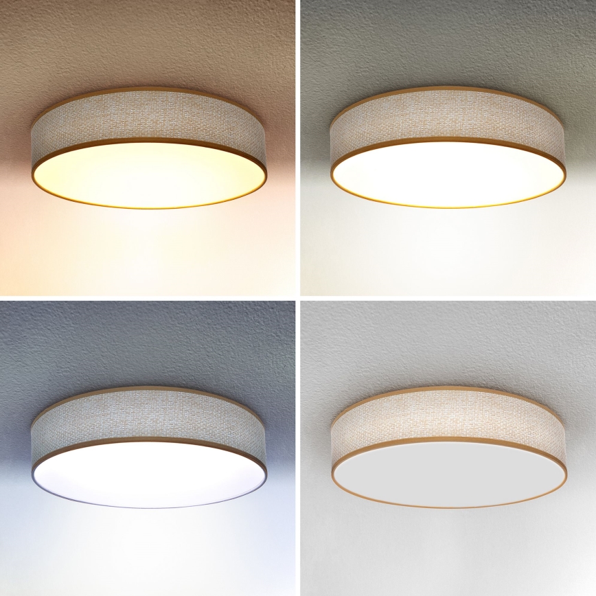 Brilagi - LED Dimbar taklampa CARMEN LED/48W/230V 3000-6500K diameter 40 cm + fjärrkontroll