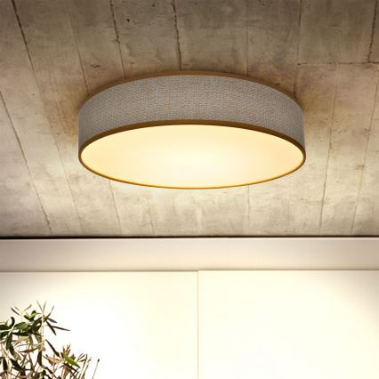 Brilagi - LED Dimbar taklampa CARMEN LED/48W/230V 3000-6500K diameter 40 cm + fjärrkontroll