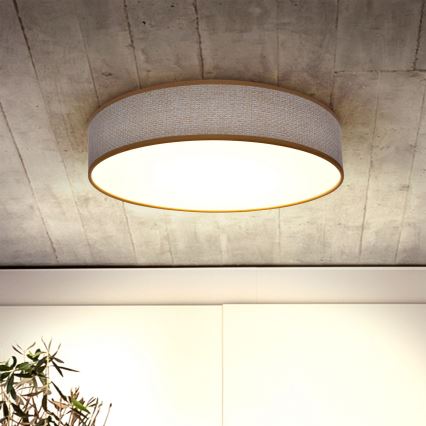 Brilagi - LED Dimbar taklampa CARMEN LED/48W/230V 3000-6500K diameter 40 cm + fjärrkontroll