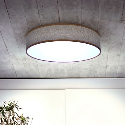 Brilagi - LED Dimbar taklampa CARMEN LED/48W/230V 3000-6500K diameter 40 cm + fjärrkontroll