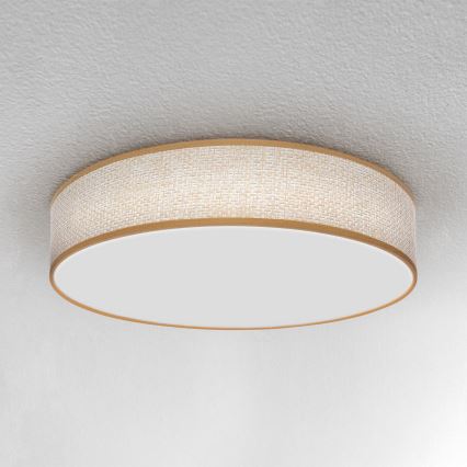 Brilagi - LED Dimbar taklampa CARMEN LED/48W/230V 3000-6500K diameter 40 cm + fjärrkontroll