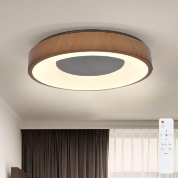 Brilagi - LED Dimbar taklampa DORIA LED/48W/230V 3000-6500K diameter 39 cm + fjärrkontroll