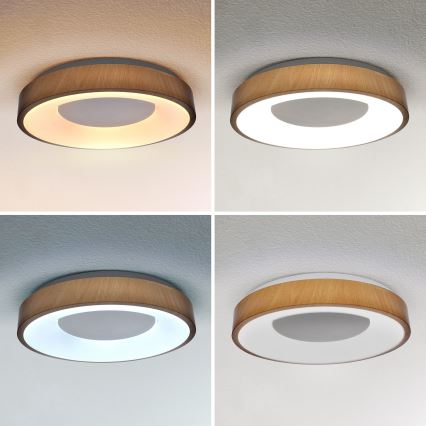 Brilagi - LED Dimbar taklampa DORIA LED/48W/230V 3000-6500K diameter 39 cm + fjärrkontroll