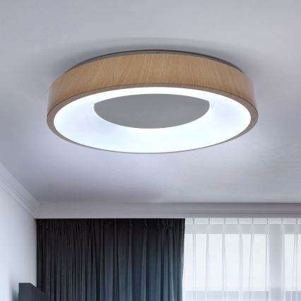 Brilagi - LED Dimbar taklampa DORIA LED/48W/230V 3000-6500K diameter 39 cm + fjärrkontroll