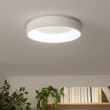 Brilagi - LED Dimbar taklampa FALCON LED/40W/230V 3000-6500K + fjärrkontroll