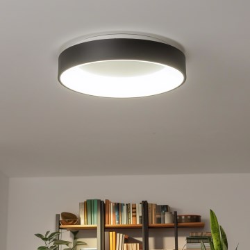 Brilagi - LED  Dimbar taklampa FALCON LED/80W/230V 3000-6500K d. 60 cm svart+ fjärrkontroll