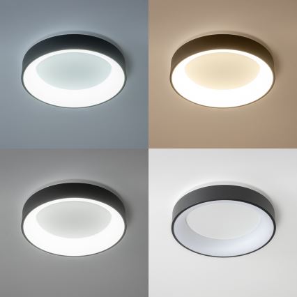 Brilagi - LED  Dimbar taklampa FALCON LED/80W/230V 3000-6500K d. 60 cm svart+ fjärrkontroll