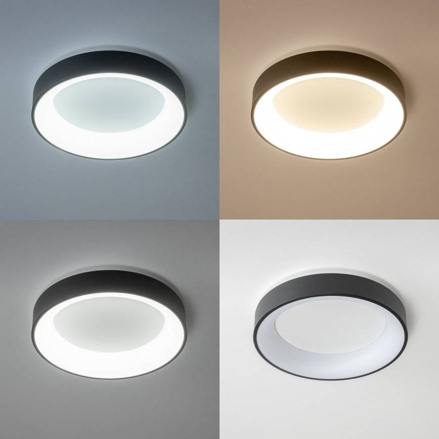 Brilagi - LED  Dimbar taklampa FALCON LED/80W/230V 3000-6500K d. 60 cm svart+ fjärrkontroll