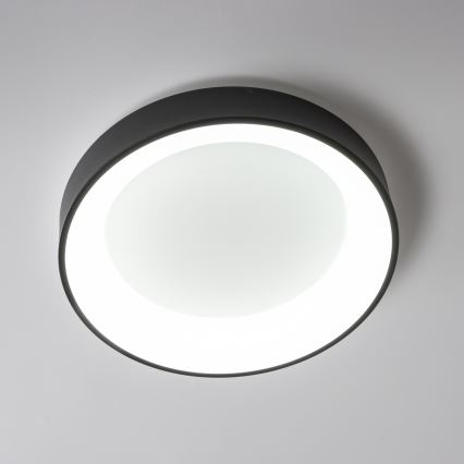 Brilagi - LED  Dimbar taklampa FALCON LED/80W/230V 3000-6500K d. 60 cm svart+ fjärrkontroll