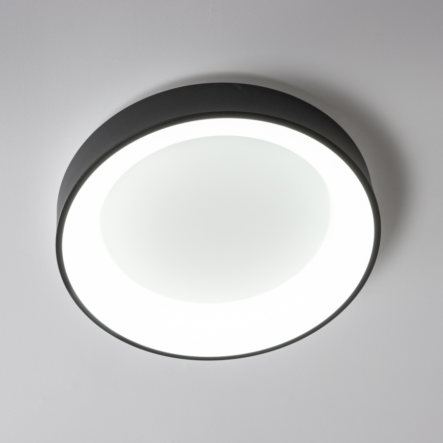 Brilagi - LED  Dimbar taklampa FALCON LED/80W/230V 3000-6500K d. 60 cm svart+ fjärrkontroll