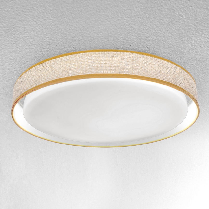 Brilagi - LED Dimbar taklampa KIANIA LED/48W/230V 3000-6500K diameter 43 cm + fjärrkontroll
