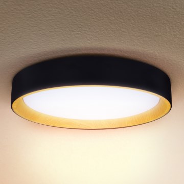 Brilagi - LED Dimbar taklampa LARIOS LED/48W/230V 3000-6500K ø 39 cm svart + fjärrkontroll