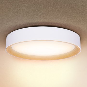 Brilagi - LED Dimbar taklampa LARIOS LED/48W/230V 3000-6500K ø 39 cm vit + fjärrkontroll