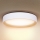 Brilagi - LED Dimbar taklampa LARIOS LED/48W/230V 3000-6500K ø 39 cm vit + fjärrkontroll
