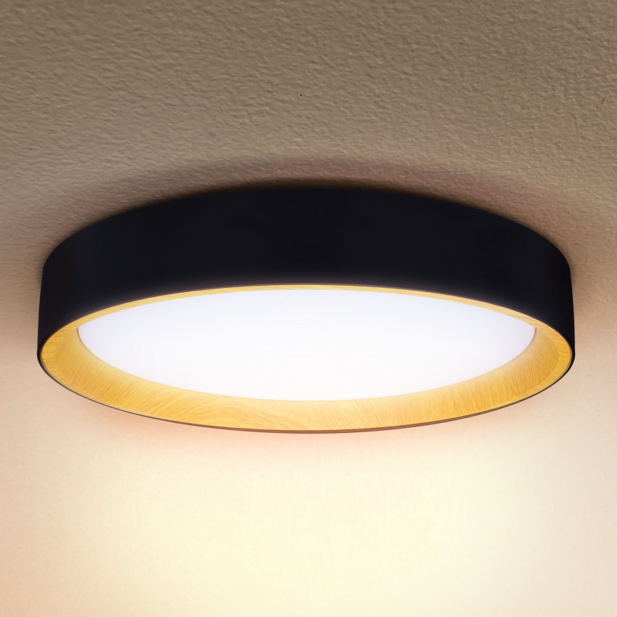 Brilagi - LED Dimbar taklampa LARIOS LED/60W/230V 3000-6500K ø 49 cm svart + fjärrkontroll