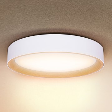 Brilagi - LED Dimbar taklampa LARIOS LED/60W/230V 3000-6500K ø 49 cm vit + fjärrkontroll