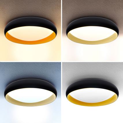 Brilagi - LED Dimbar taklampa LIVIA LED/48W/230V 3000-6500K diameter 42 cm + fjärrkontroll