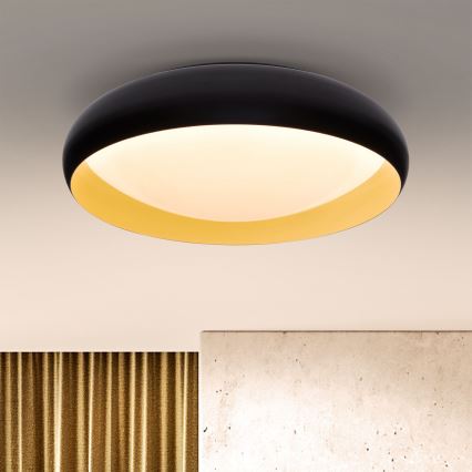 Brilagi - LED Dimbar taklampa LIVIA LED/48W/230V 3000-6500K diameter 42 cm + fjärrkontroll