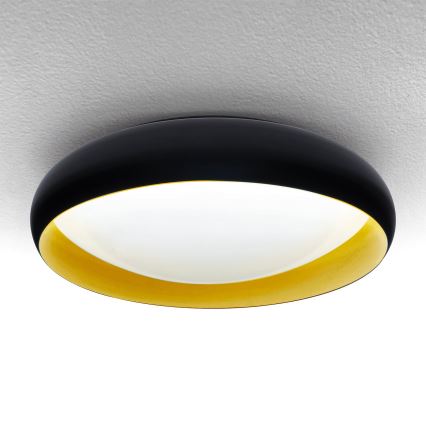 Brilagi - LED Dimbar taklampa LIVIA LED/48W/230V 3000-6500K diameter 42 cm + fjärrkontroll