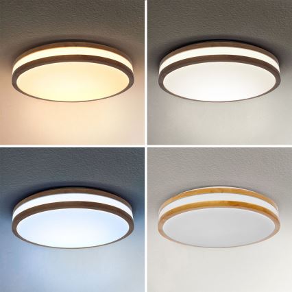 Brilagi - LED Dimbar taklampa MOLINA LED/48W/230V 3000-6500K ek diameter 38 cm + fjärrkontroll