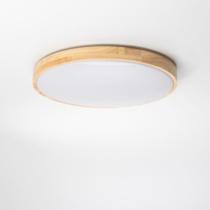 Brilagi - LED Dimbar taklampa PINE LED/24W/230V 3000-6500K + fjärrkontroll