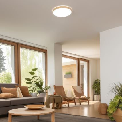 Brilagi - LED Dimbar taklampa PINE LED/24W/230V 3000-6500K + fjärrkontroll