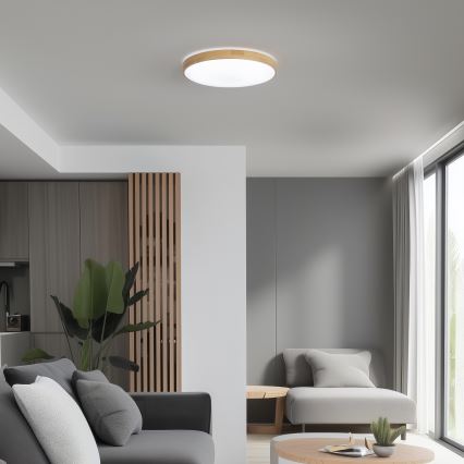 Brilagi - LED Dimbar taklampa PINE LED/24W/230V 3000-6500K + fjärrkontroll