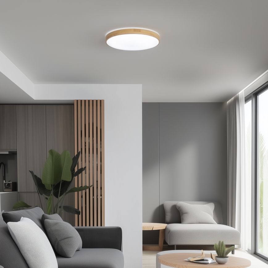 Brilagi - LED Dimbar taklampa PINE LED/24W/230V 3000-6500K + fjärrkontroll