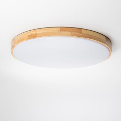 Brilagi - LED Dimbar taklampa PINE LED/60W/230V 3000-6500K + fjärrkontroll
