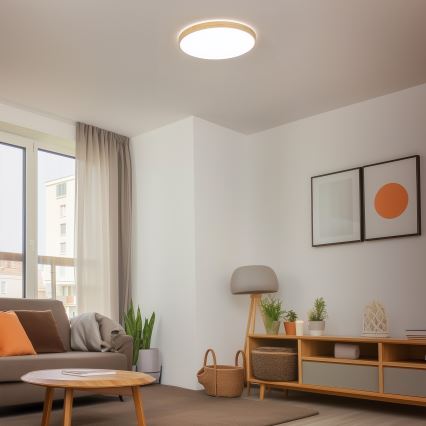 Brilagi - LED Dimbar taklampa PINE LED/60W/230V 3000-6500K + fjärrkontroll