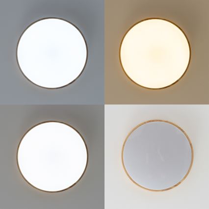 Brilagi - LED Dimbar taklampa PINE LED/60W/230V 3000-6500K + fjärrkontroll
