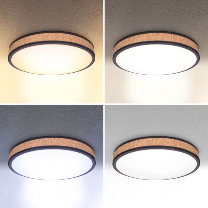 Brilagi - LED Dimbar taklampa ROSA LED/48W/230V 3000-6500K diameter 38 cm + fjärrkontroll