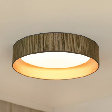Brilagi - LED Dimbar taklampa VEGAS SHINE LED/24W/230V 3000/4000/6500K strå brun/guld + fjärrkontroll