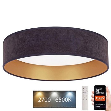 Brilagi - LED Dimbar taklampa VELVET SMART LED/24W/230V diameter 45 cm 2700-6500K Wi-Fi Tuya grå/gyllene + fjärrkontroll