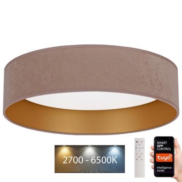 Brilagi - LED Dimbar taklampa VELVET SMART LED/36W/230V diameter 55 cm 2700-6500K Wi-Fi Tuya beige/gyllene + fjärrkontroll