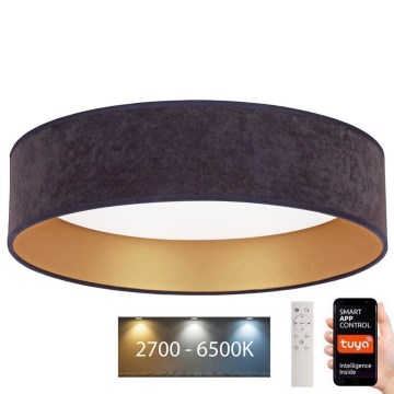 Brilagi - LED Dimbar taklampa VELVET SMART LED/36W/230V diameter 55 cm 2700-6500K Wi-Fi Tuya grå/gyllene + fjärrkontroll