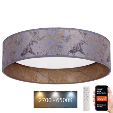 Brilagi - LED Dimbar taklampa VELVET SMART LED/36W/230V diameter 55 cm 2700-6500K Wi-Fi Tuya grå/gyllene + fjärrkontroll