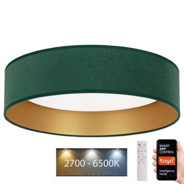 Brilagi - LED Dimbar taklampa VELVET SMART LED/36W/230V diameter 55 cm 2700-6500K Wi-Fi Tuya grön/gyllene + fjärrkontroll