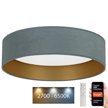 Brilagi - LED Dimbar taklampa VELVET SMART LED/36W/230V diameter 55 cm 2700-6500K Wi-Fi Tuya mint/gyllene + fjärrkontroll