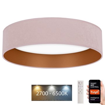 Brilagi - LED Dimbar taklampa VELVET SMART LED/36W/230V diameter 55 cm 2700-6500K Wi-Fi Tuya rosa/gyllene + fjärrkontroll