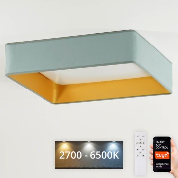 Brilagi - LED Dimbar taklampa VELVET SQUARE SMART LED/36W/230V 2700-6500K Wi-Fi Tuya + fjärrkontroll mint