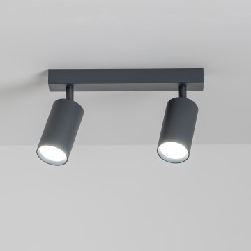 Brilagi - LED-dimbart spotarmatur SELE 2xGU10/6,5W/230V 2700-6500K antracit