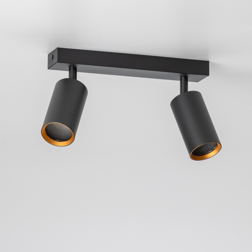 Brilagi - Dimbart LED-spot SELE 2xGU10/6,5W/230V 2700-6500K svart/guld