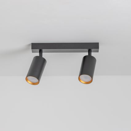 Brilagi - Dimbart LED-spot SELE 2xGU10/6,5W/230V 2700-6500K svart/guld